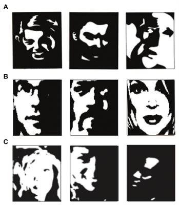 Stimulus-Specific Individual Differences in Holistic Perception of Mooney Faces